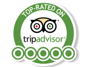 trip advisor badge